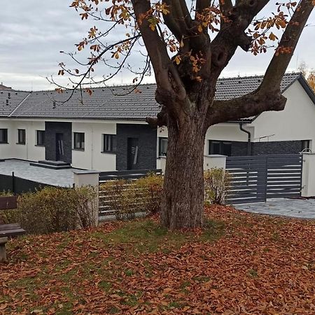 Apartmany Volavka 1 Planá nad Lužnicí Exterior foto